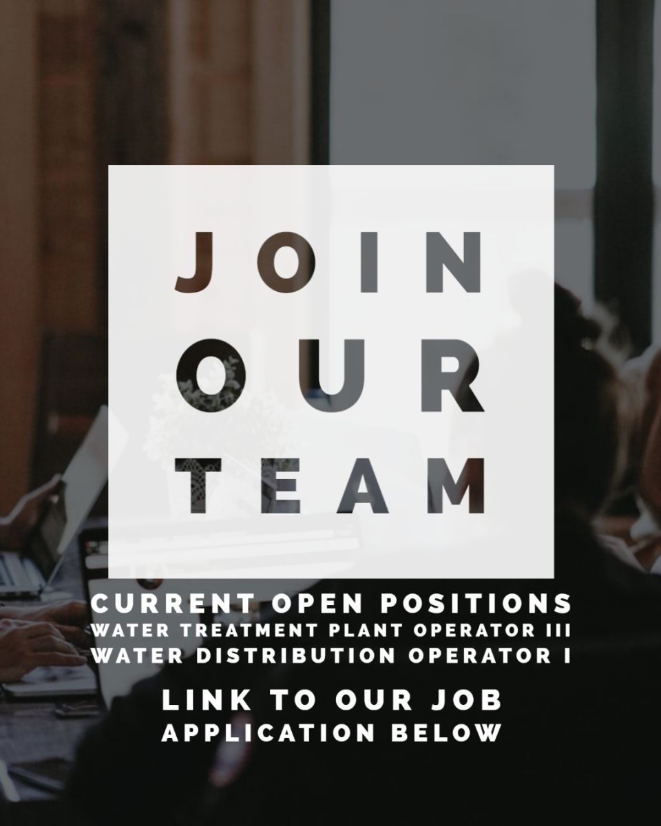 Join our team